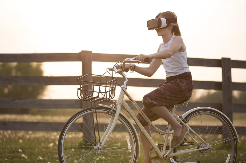 Virtual Explorer